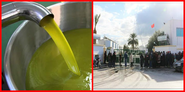 إقبال المواطنين بكثافة على شراء زيت الزيتون