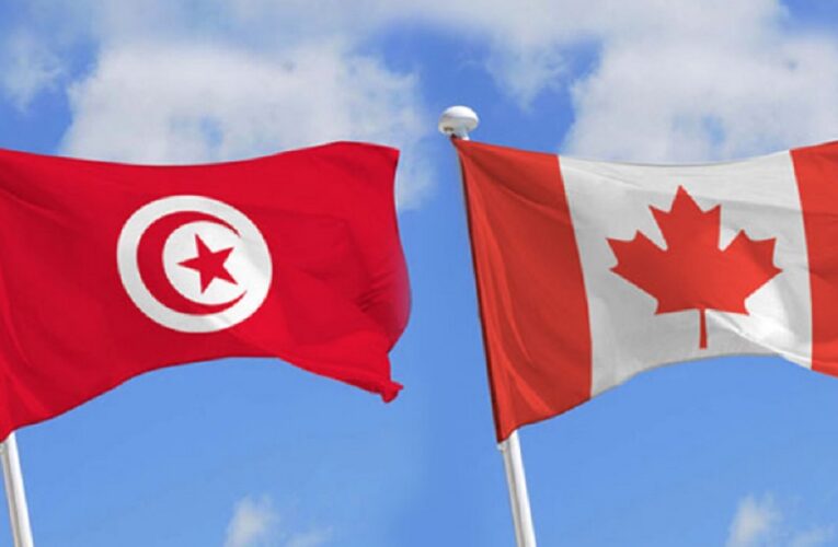 مونتريال : شركات كندية تستأنف مهمة الانتداب في مجال تكنولوجيا المعلومات والصحة