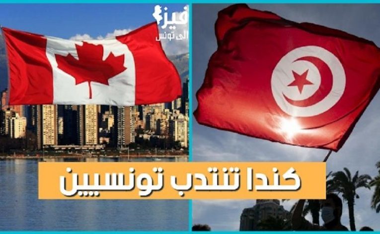 بأجر شهري يصل 10000 دينار : انتدابات هامة جديدة في كندا عن طريق الوكالة الوطنية للتشغيل في اختصاصات متعددة … التفاصيل