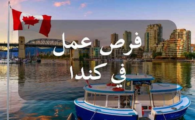 مقاطعة نيوبرزفيك الكندية تفتح التسجيل للانتداب في عديد الاختصاصات للعام 2024